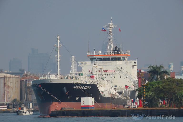 MORNING GENTLY photo