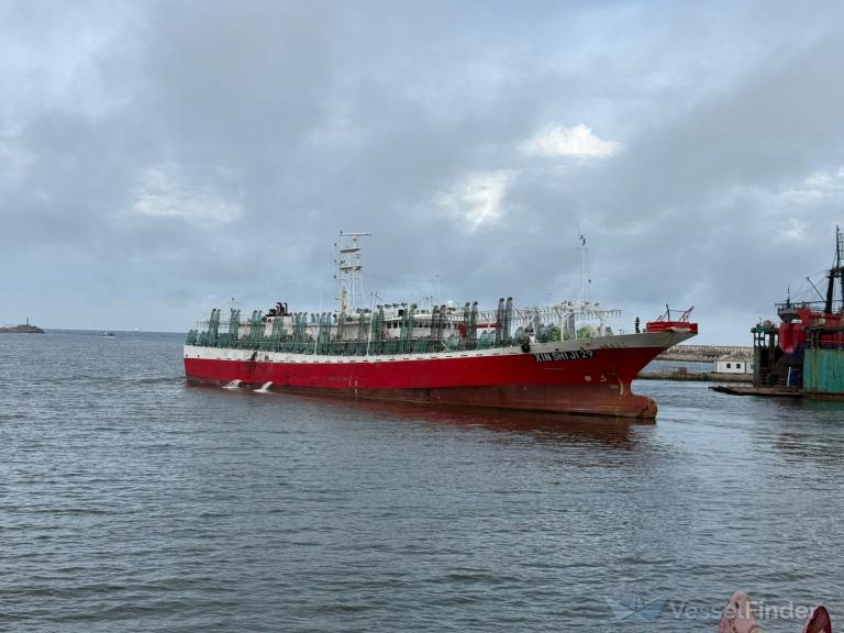 FV XIN SHI JI 29 photo