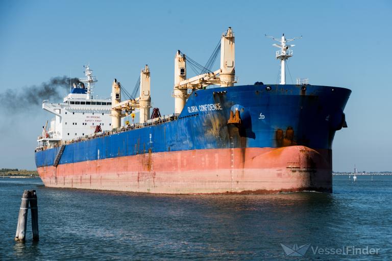 GLORIA CONFIDENCE photo