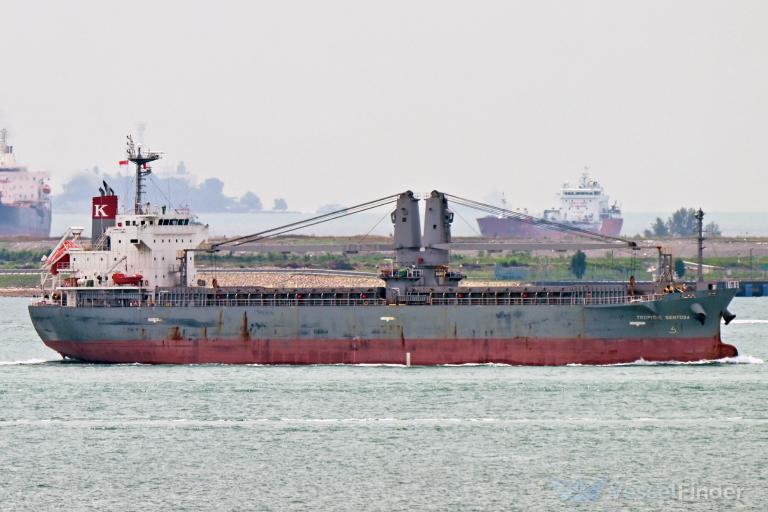 TROPICAL SENTOSA photo