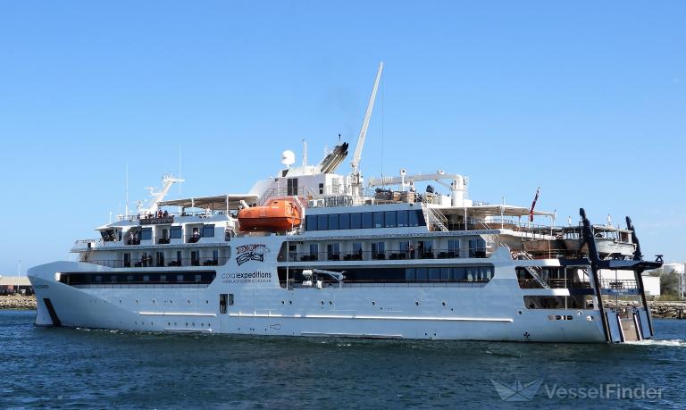 CORAL GEOGRAPHER photo