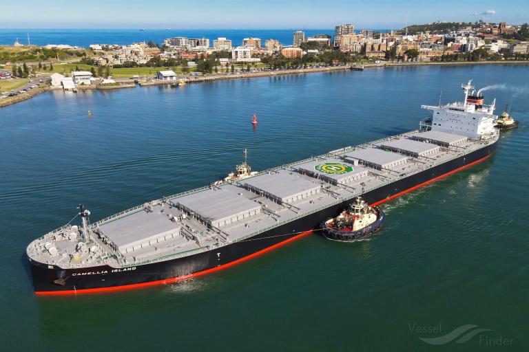 CAMELLIA ISLAND photo