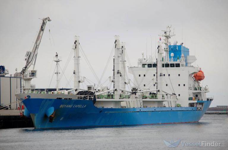 BOYANG CAPELLA photo