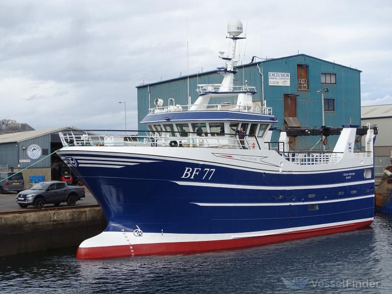 OCEAN VENTURE BF77 photo