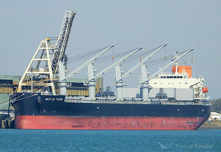 WATTLE TIGER, General Cargo Ship - Details and current position - IMO