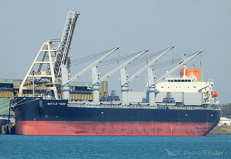 WATTLE TIGER, General Cargo Ship - Details and current position - IMO ...