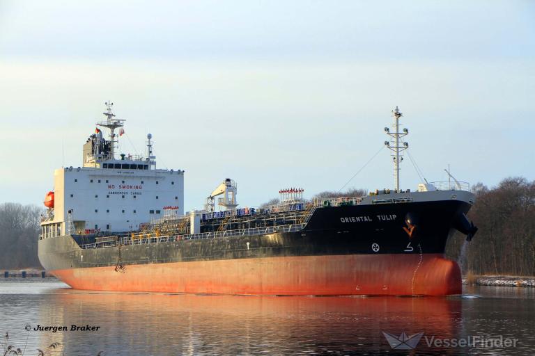 ORIENTAL TULIP photo