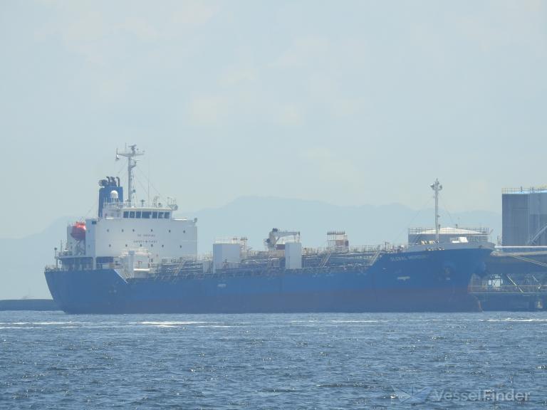 GLOBAL MERCURY photo