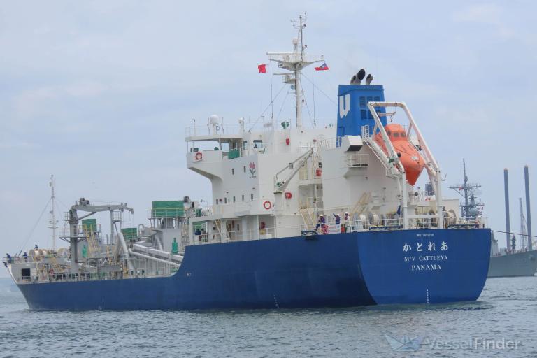 MV CATTLEYA photo