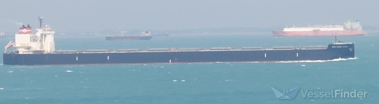 SOUTHERN CROSS photo