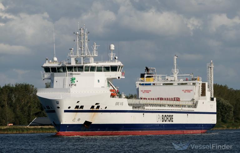 BORE WIND photo