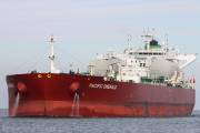 Ship TOPZERA (Tug) Registered in Brazil - Vessel details, Current position  and Voyage information - MMSI 710739406