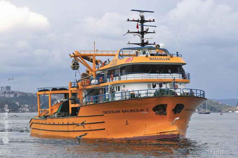 GECICILER BLK. 2 photo