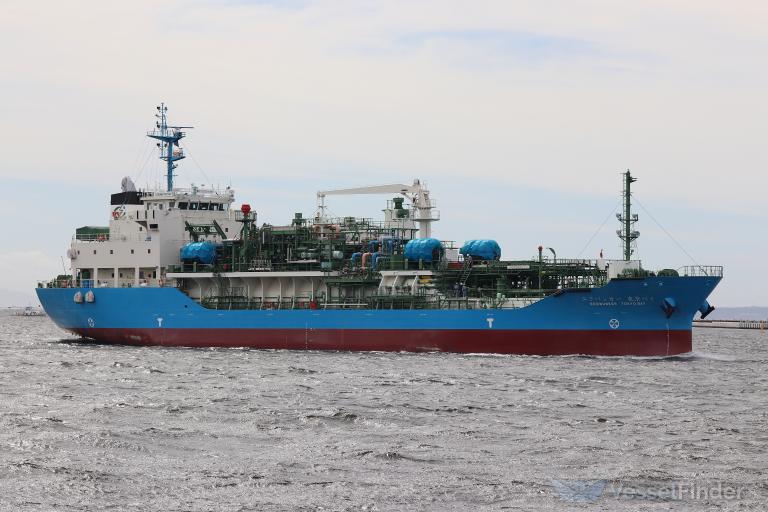 ECOBUNKER TOKYO BAY photo
