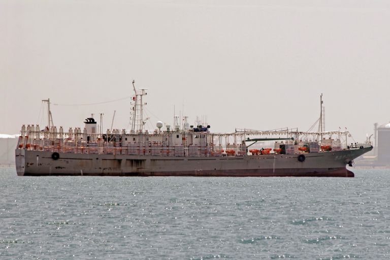 FU YUAN YU 7616 photo