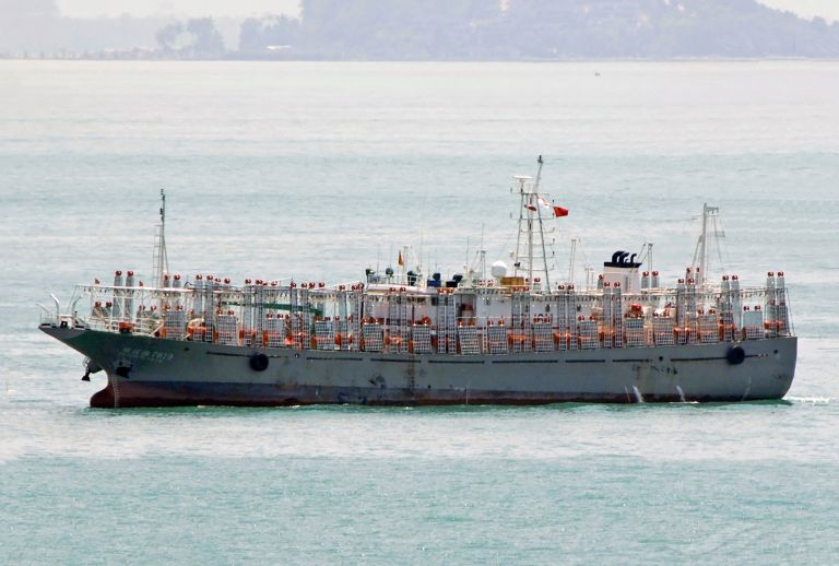 FU YUAN YU 7619 photo