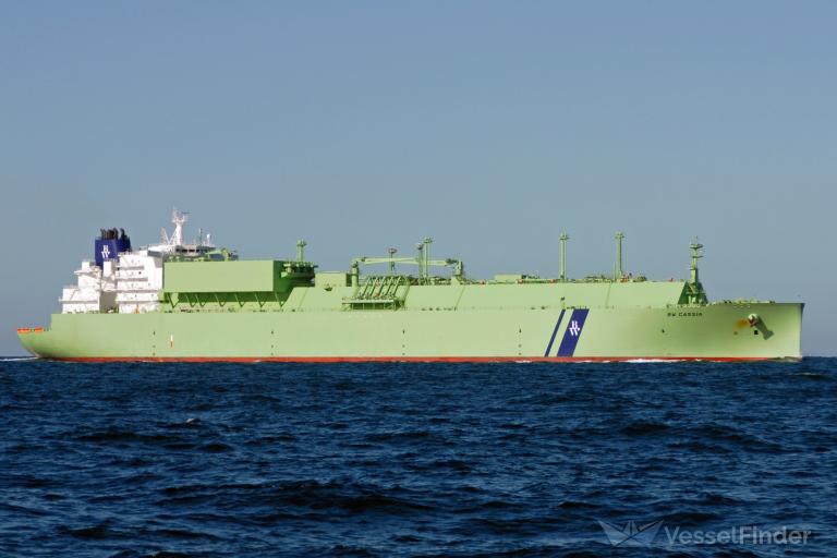 BW CASSIA photo