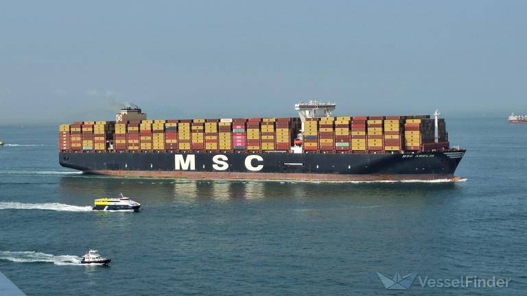 MSC AMELIA