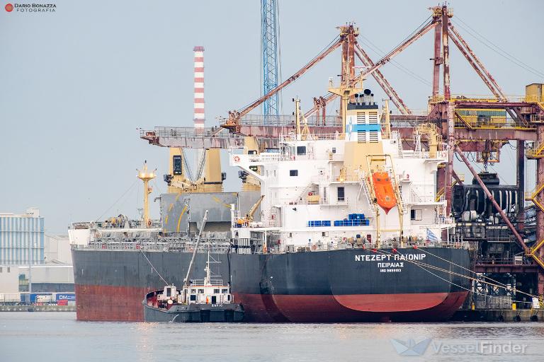 DESERT PIONEER photo