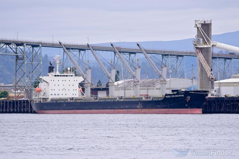 CARNELIAN CONFIDENCE photo