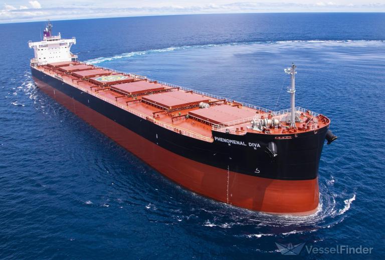 PHENOMENAL DIVA photo