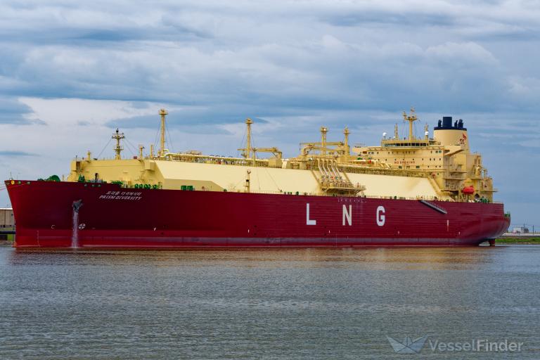 PRISM DIVERSITY photo