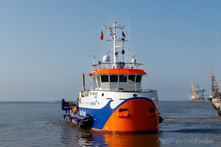 MAAS