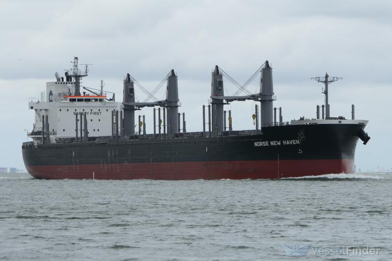 NORSE NEW HAVEN photo