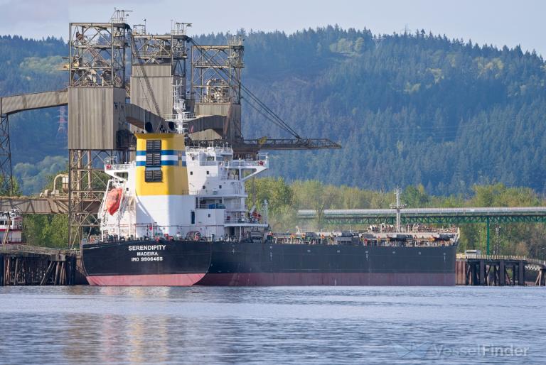SERENDIPITY, Bulk Carrier - Details and current position - IMO