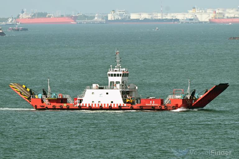 PENGUIN TENACITY photo