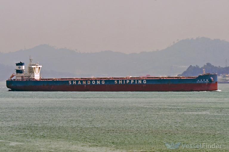 SHANDONG DREAM photo