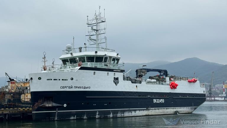 SERGEY PRIKHODKO photo