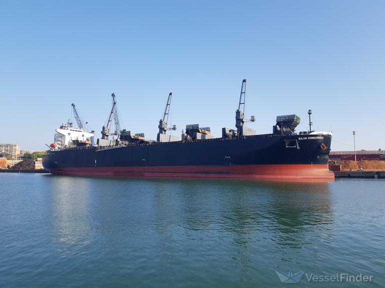 SILVA CONCORDIA photo