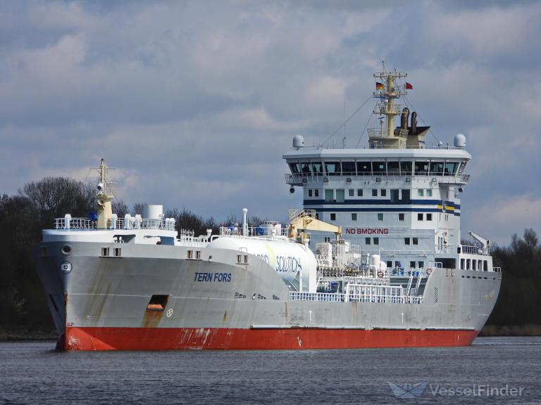 TERN FORS photo
