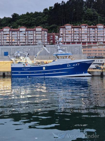 SPARKLING STAR photo