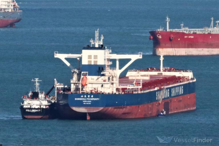 SHANDONG PROSPERITY photo