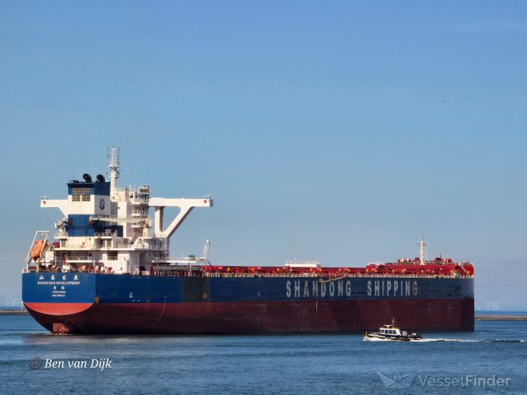 SHANDONG DEVELOPMENT photo