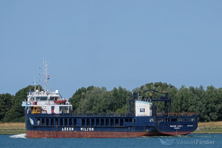 WILSON FLEX I