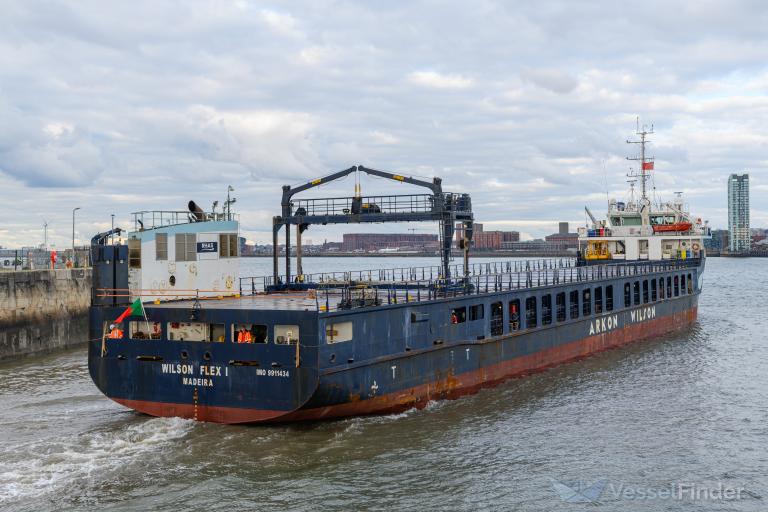 WILSON FLEX I