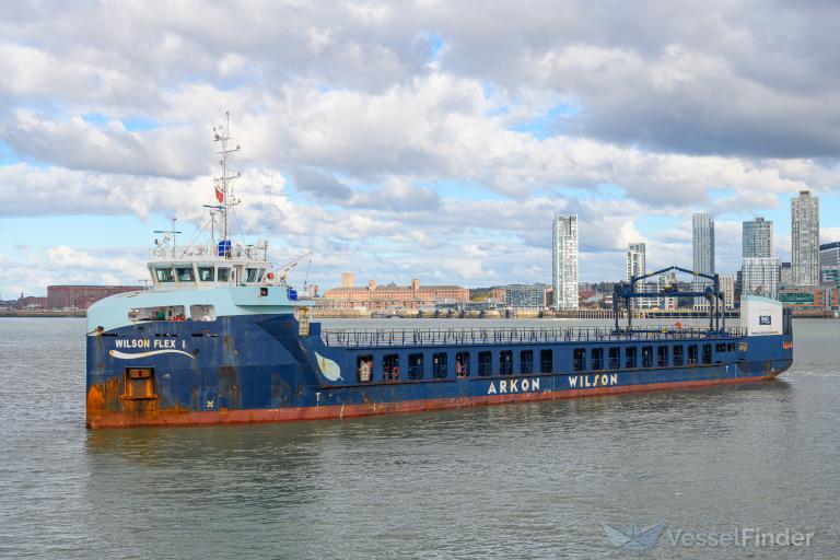 WILSON FLEX I