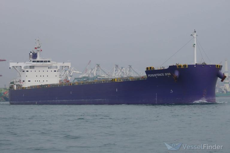 PERSISTENCE DIVA photo