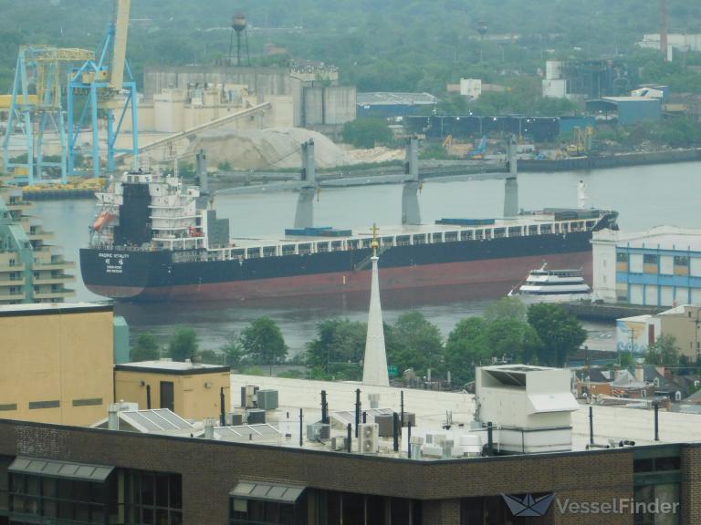 PACIFIC VITALITY photo