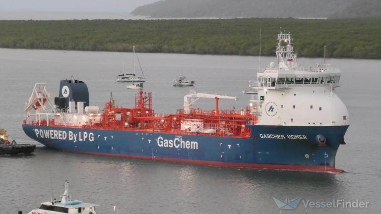 GASCHEM HOMER photo