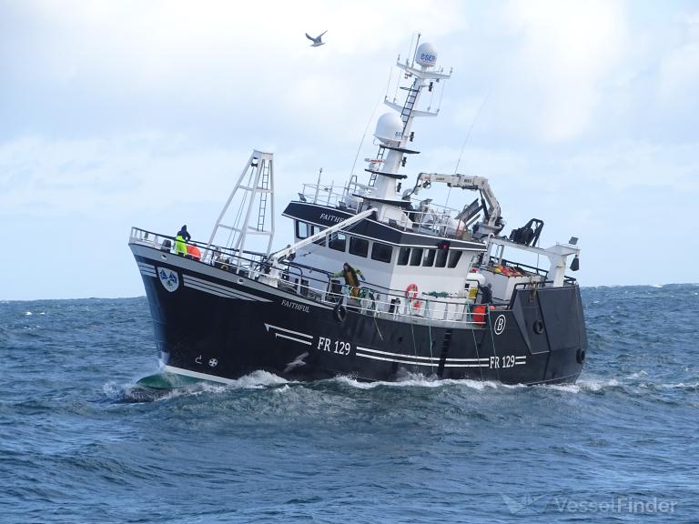 FAITHFUL FR129 photo