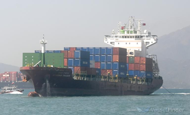 QINGDAO TRADER photo