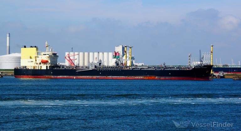 SAKURA VOYAGER photo