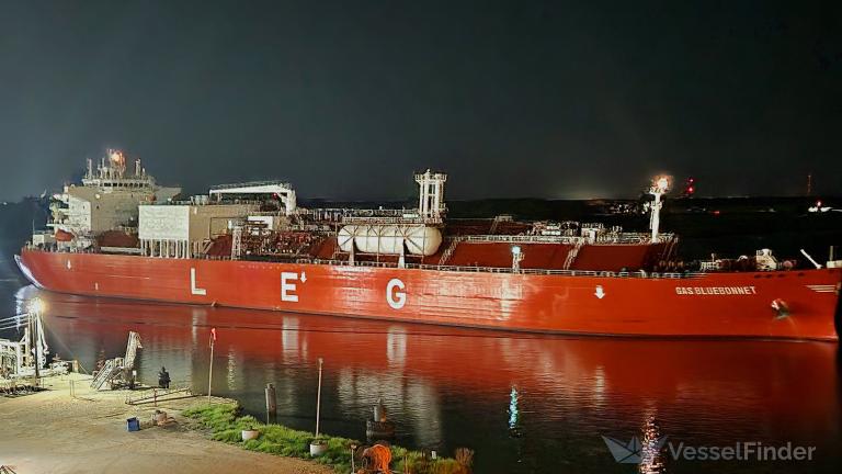 GAS BLUEBONNET photo