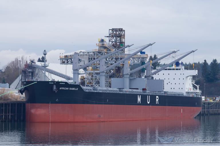 AFRICAN ISABELLE photo