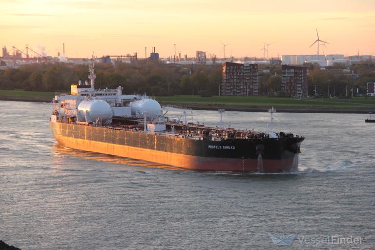 PROTEUS SINEAD photo