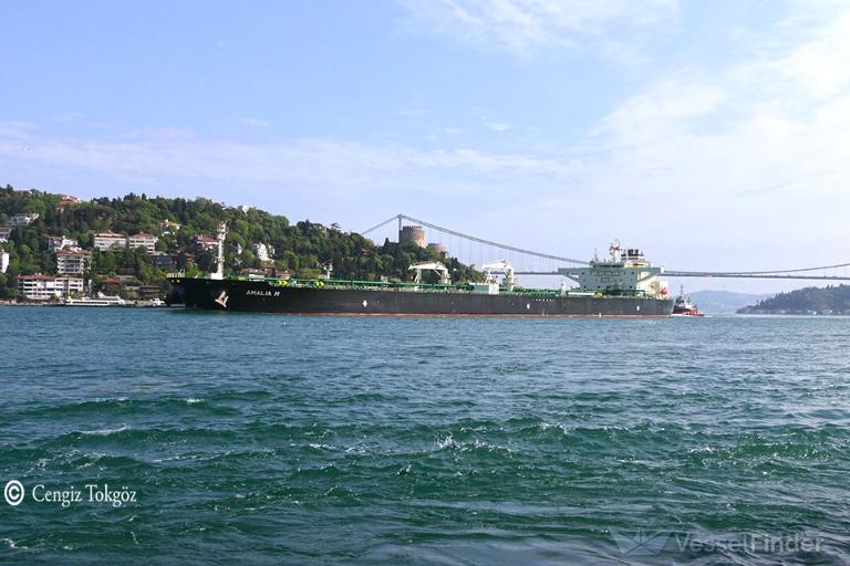 AMALIA M, Crude Oil Tanker - Details and current position - IMO 9924003 ...